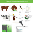© PATTARAWIT - Artificial insemination is a very common practice in the agriculture world. It involves using collected semen to breed an versus using a bull  to provide the breeding services.