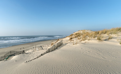 Canvas Print - plage d'Hourtin sur  le littoral de Gironde