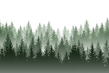 Vector Misty Green Forest Isolated On White Background
