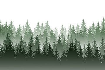 Wall Mural - Vector misty green forest isolated on white background