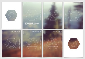 Wall Mural - a4 brochure cover design with geometric shapes and masks in modern minimalistic style. creative flye