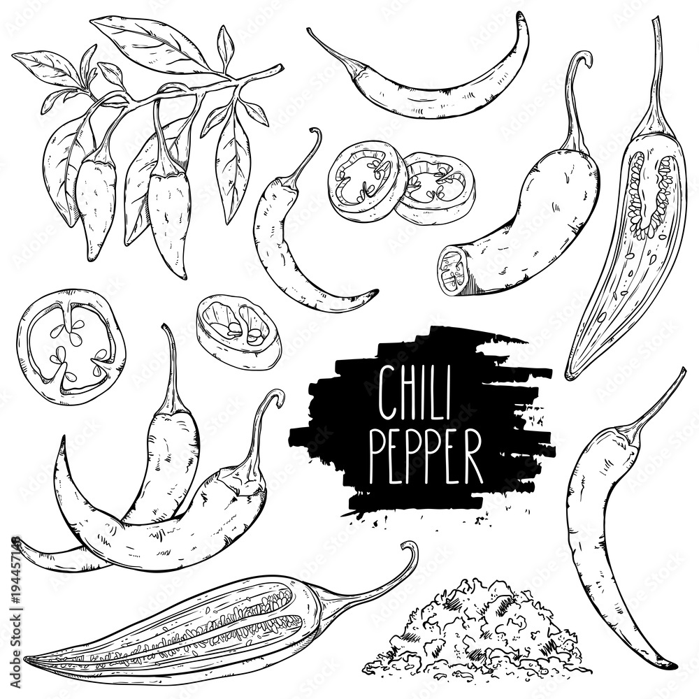Hand drawn hot chili pepper set. Peppers chili, slices, halves, crushed pieces and branch isolated on white background. Outline ink slyle sketch. Vector coloring illustration. - obrazy, fototapety, plakaty 