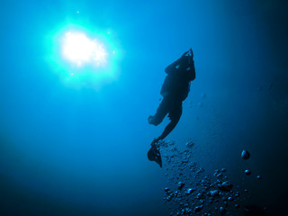 silhouette diver