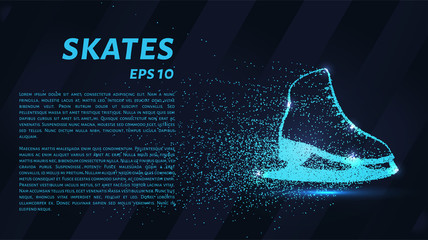 Wall Mural - Skates of particles. Skates consists of circles and points