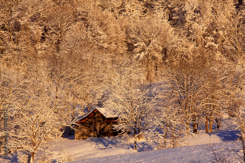 Old Barn And Woods In Snow Buy This Stock Photo And Explore