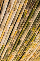 Sticker - Bamboo background