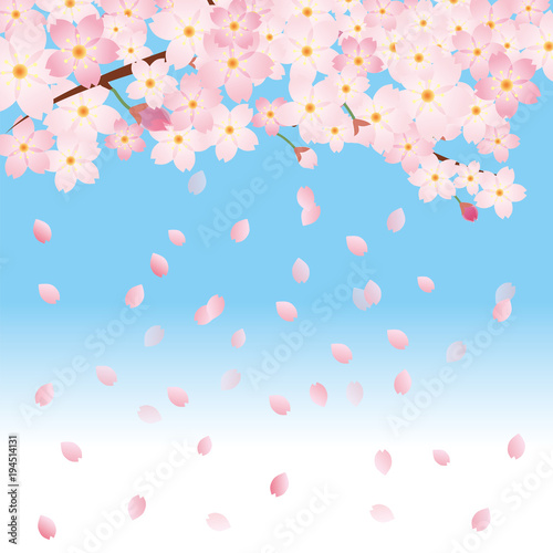 桜吹雪と青空と桜のイラスト 春のイメージの背景画像 桜の木 ソメイヨシノ Stock ベクター Adobe Stock