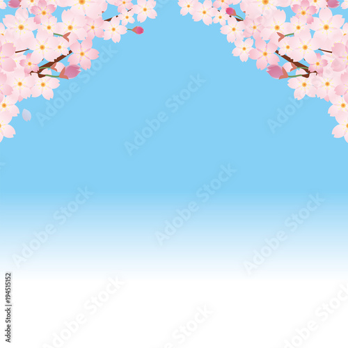 アーチ型の桜のイラスト 青空バック 春のイメージの背景画像 桜の木 ソメイヨシノ Stock Vector Adobe Stock