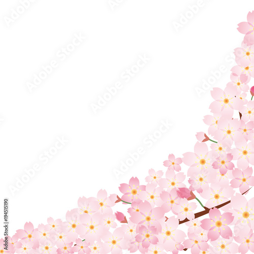 桜のイラスト 白バック 春のイメージの背景画像 桜の木 ソメイヨシノ Stock Vector Adobe Stock