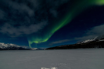 northern lights aurora borealis, yukon territory, canada