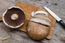 Raw Edible Mushrooms