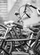 © Lexia Frank Photography/Stocksy - Black and white bicycle