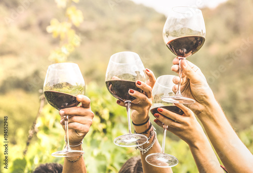 Cuadros en Lienzo Hands toasting red wine glass and friends having fun cheering at winetasting exp