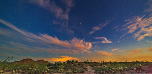 Wall Mural - The flaming red and orange sunsets in the Arizona desert create natural silhouettes of mountains, cactus, birds, trees, plants and are scenic when viewed against the colorful sky in this Arizona wilde