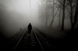 Horror scene. Woman in black dress standing at rails in the misty forest