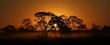 © imageBROKER - Sunset in the Pantanal, Mato Grosso do Sul, Brazil, South America