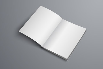 Poster - Vector mockup of the catalog is open on the first page.