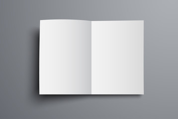 Mockup of the vector brochure is a top view of the open first page.