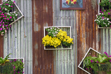 Vertical gardening Creative style.