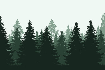 Poster - Green coniferous forest with grass - realistic vector