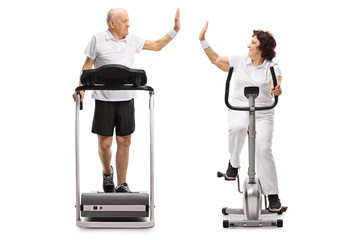 Sticker - Elderly man and an elderly woman exercising and high-fiving each other