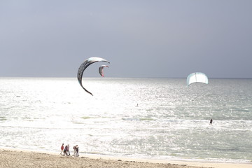 Kites and the sun