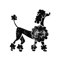 Linocut black-white beautiful poodle