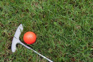 Orange golf ball and putter on green grass