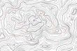 TOPOGRAPHIC ALTITUDE LINE MAP WITH ATTRACTION POINT. SEAMLESS VECTOR PATTERN