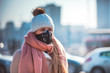 © leszekglasner - Young woman wearing protective mask in the city street, smog and air pollution