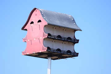 Wall Mural - Birdhouse