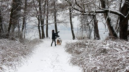 Giocare con il cane sulla neve