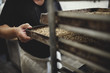 © Maskot - Midsection of male baker keeping fresh baked breads in tray on cooling rack at bakery
