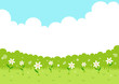 Spring flowers,grass with sky background