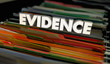 Evidence Proof Records File Folders Documents 3d Illustration