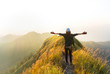 © Daruna - Happy woman traveler raised arms on top of mountain, feel freedom and enjoy nature.