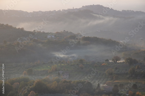 Fotografie, Obraz Vineyard near Piglio a small medieval town in the Lazio region, Italy