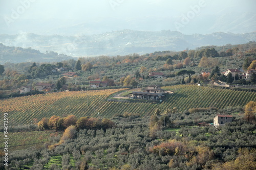 Fotografie, Obraz Vineyard near Piglio a small medieval town in the Lazio region, Italy