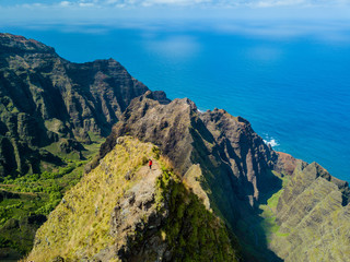 Wall Mural - Awaawapuhi Trail Drone