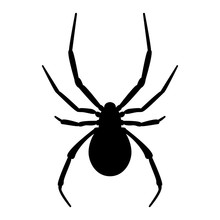 Vector Image Of Spider Silhouette