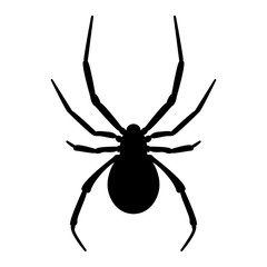 Wall Mural - Vector image of spider silhouette