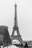 Fototapeta Paryż - Madame Eiffel 