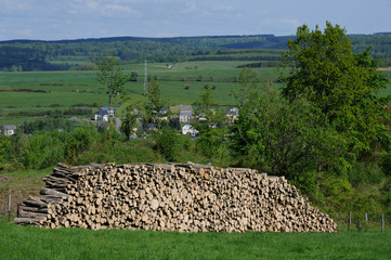 Wall Mural - Bois environnement campagne chauffage