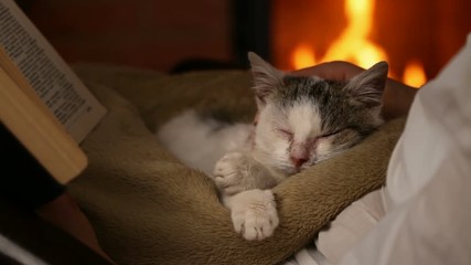 Wall Mural - Cute rescue kitten at the fireplace relaxing in new owner lap, closeup of woman reading - static camera