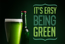 Download Green Beer Bottles Free Stock Photo Public Domain Pictures PSD Mockup Templates