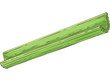 Fresh Green Celery Stick