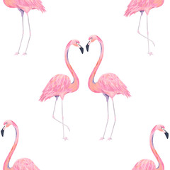 Fototapeta tropikalny flamingo wzór ptak