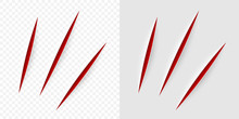 Vector Realistic Red Cut With A Office Knife