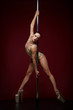 beautiful pole dancer in golden bodywear on pylon