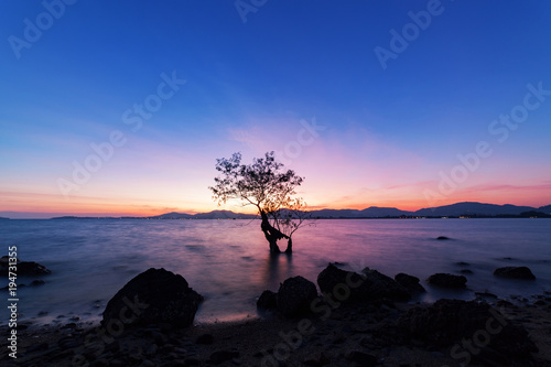 Photographie Long exposure image of dramatic sunset or sunrise,sky clouds over mountain with alone tree in tropical sea